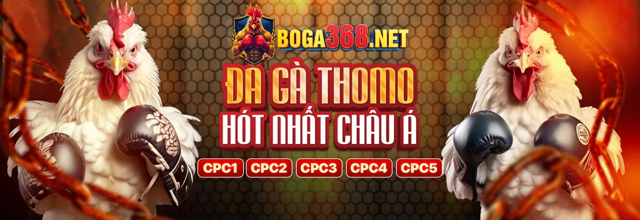 Đối tác qh235 thành công